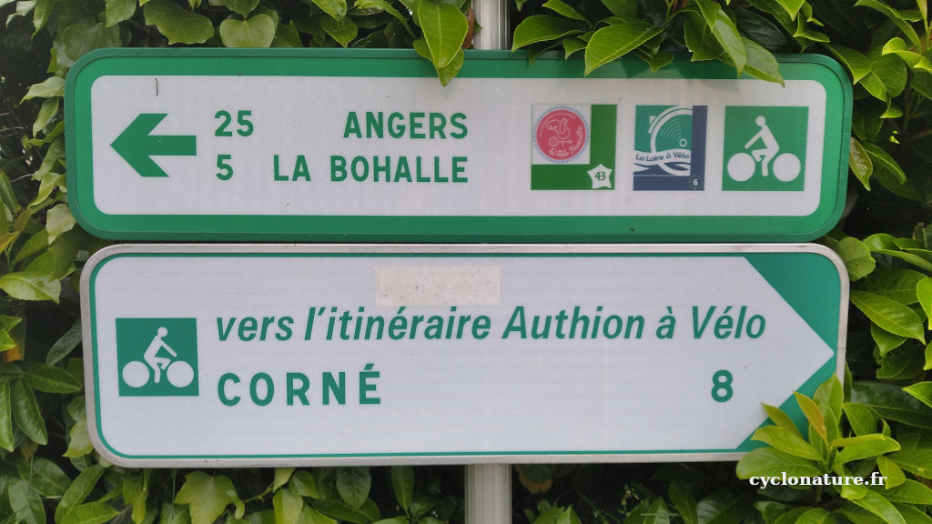 Itinéraire vélo Angers Corné