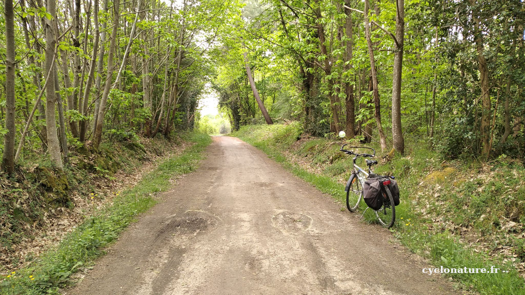Sortie vélo dans la forêt de Briançon à Bauné