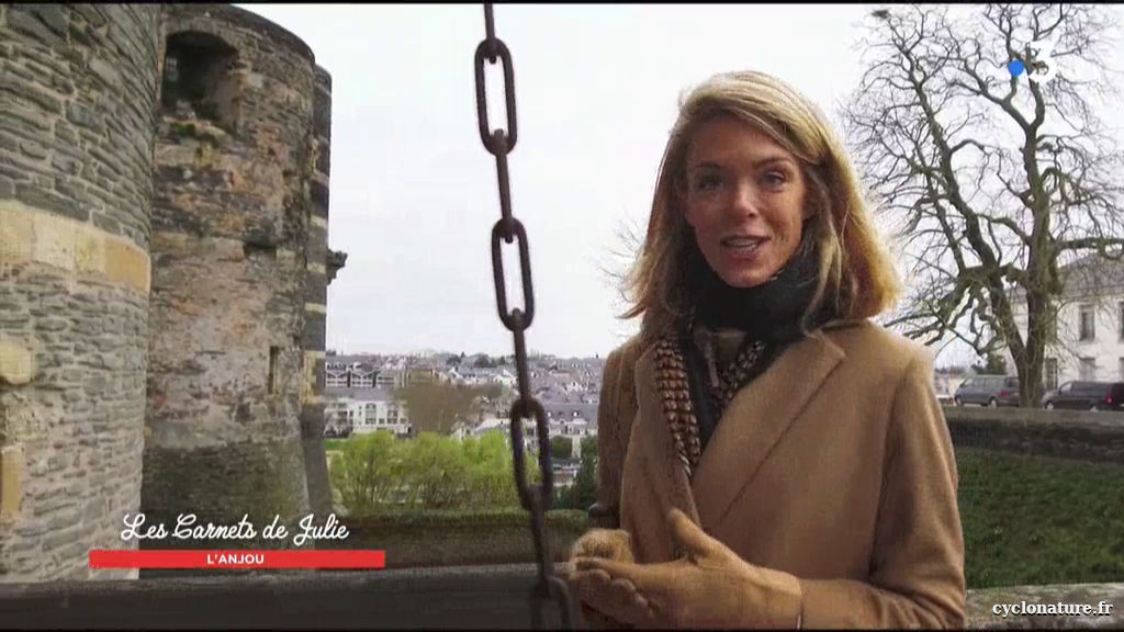 Les carnets de Julie - France TV