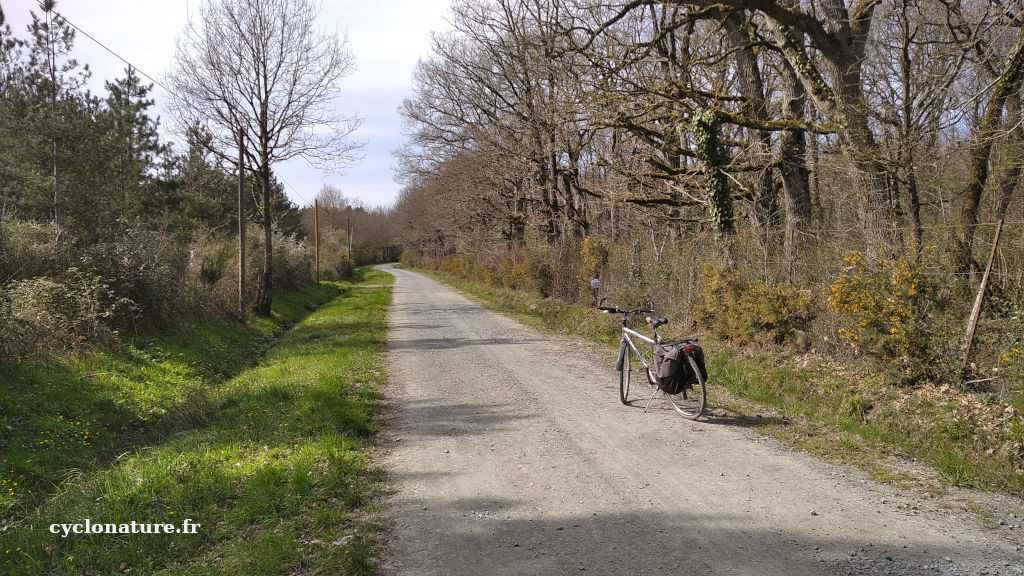 Sortie vélo dans la campagne de Beaucouzé