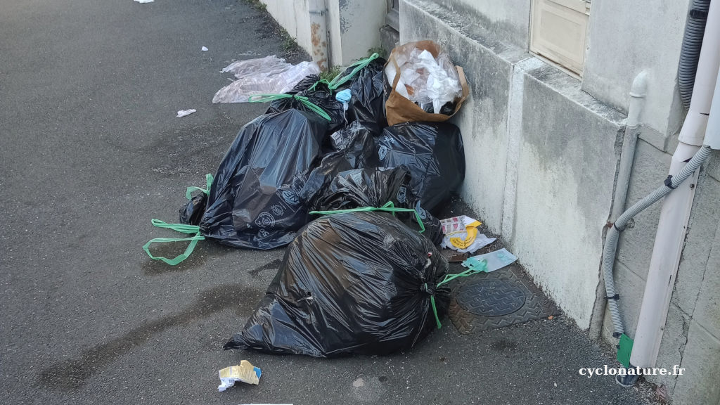 A Angers les poubelles c'est sur les trottoirs