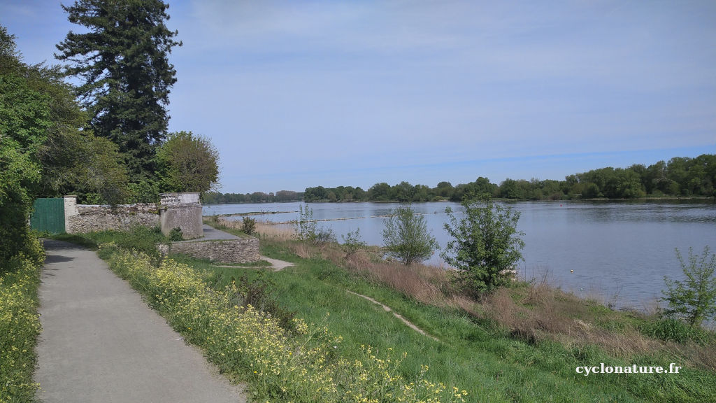 Retour par les bords de Loire (Loire à vélo)
