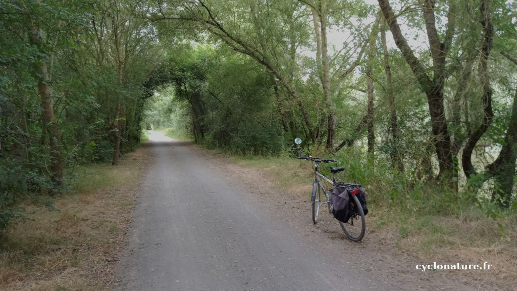 A vélo le long de la Mayenne