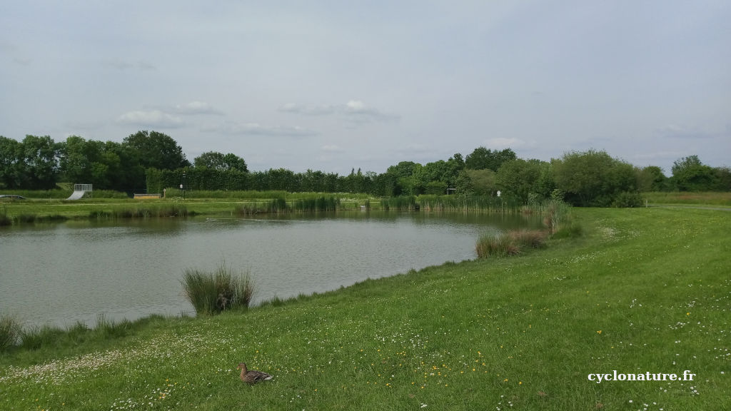 L'étang de l'Aubriaie à Saint Lambert la Potherie