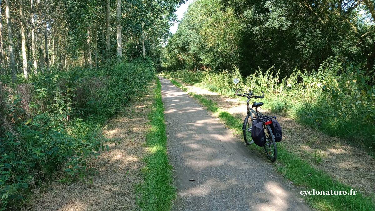 A vélo le matin avant qu'il ne fasse trop chaud