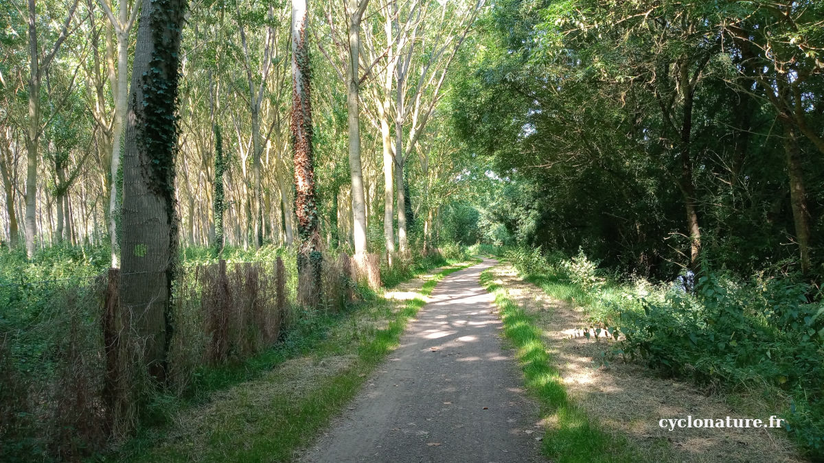 A vélo le matin avant la canicule