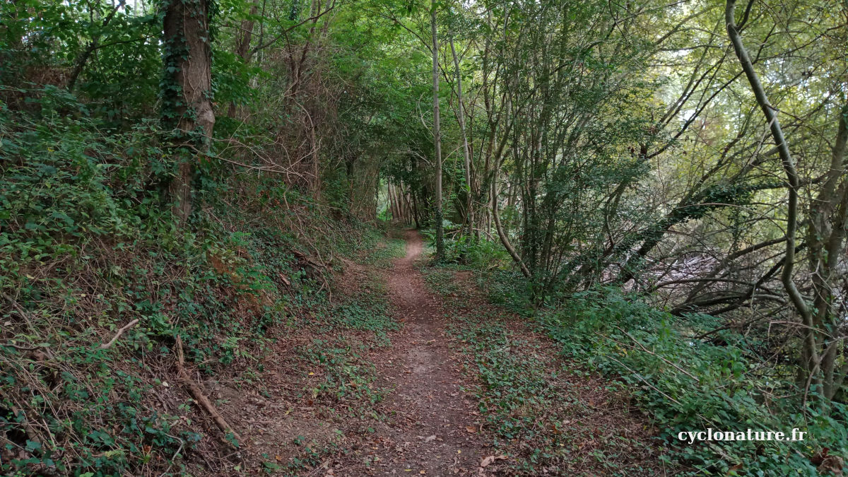 A vélo dans la forêt des Sablières à Ecouflant