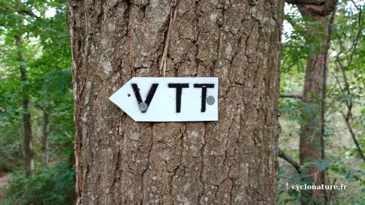 A vélo dans la forêt des Sablières à Ecouflant