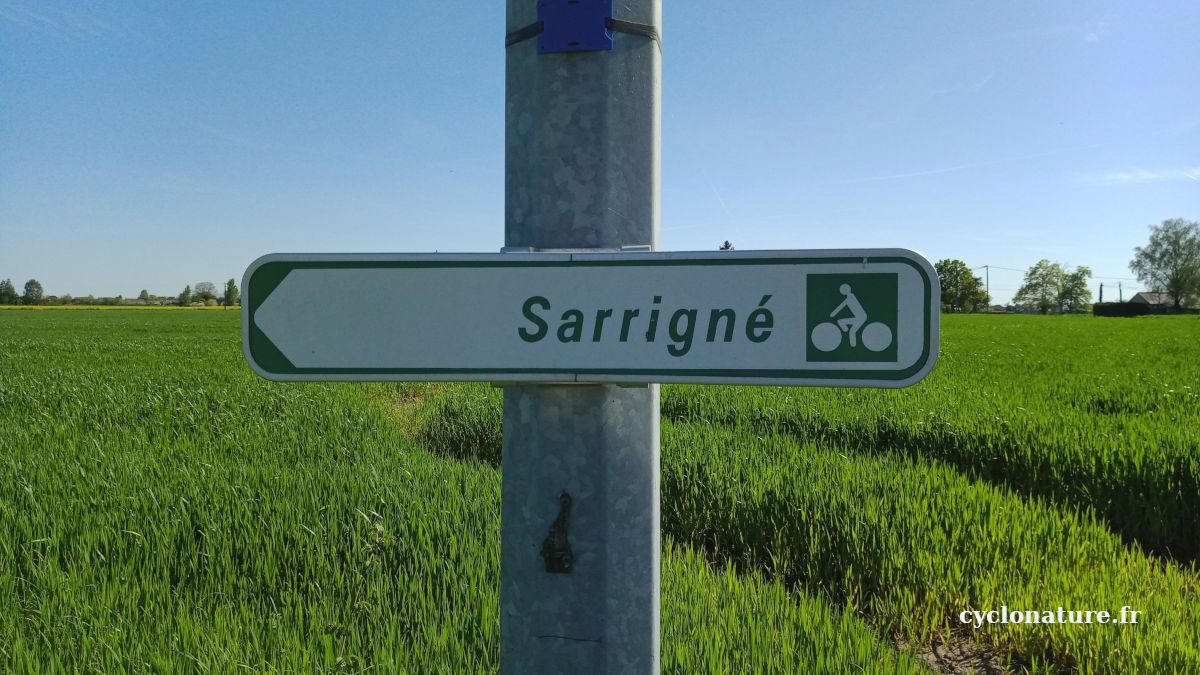 Circuit vélo à Sarrigné