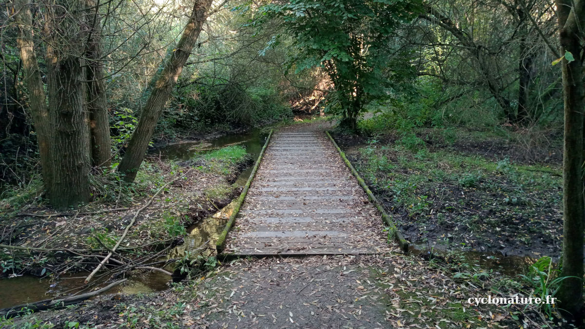 Balade dans le marais du Petit Rocher à Trélazé