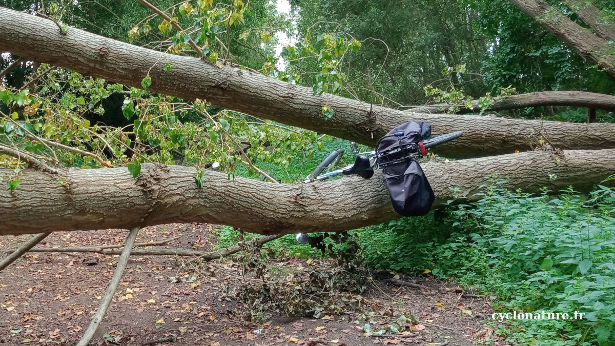 Le vélo c'est par dessus