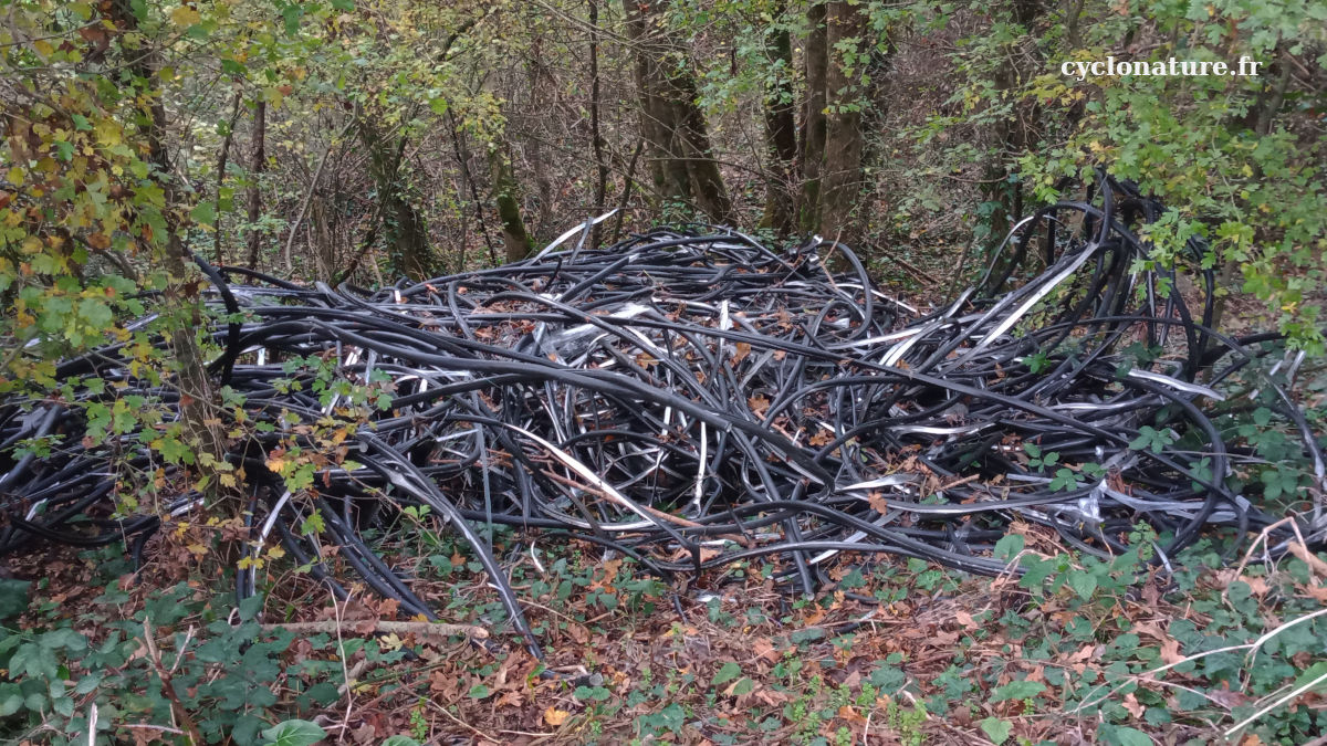 Dépôt sauvage à Trélazé