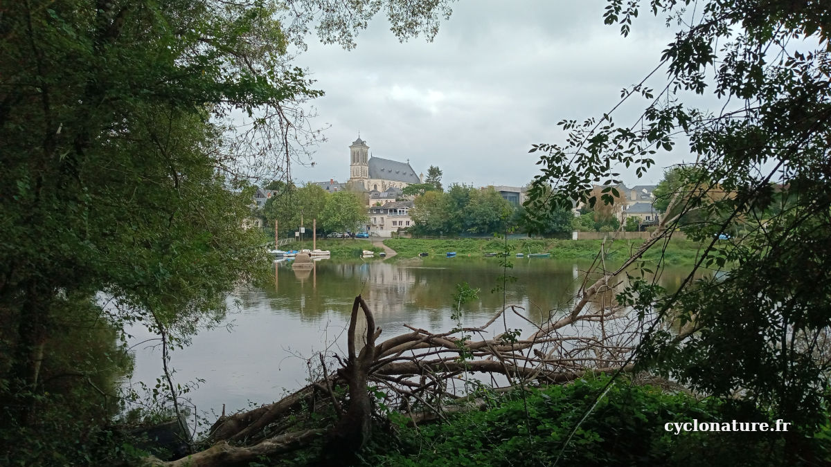 Vue sur l'église de Cantenay Epinard