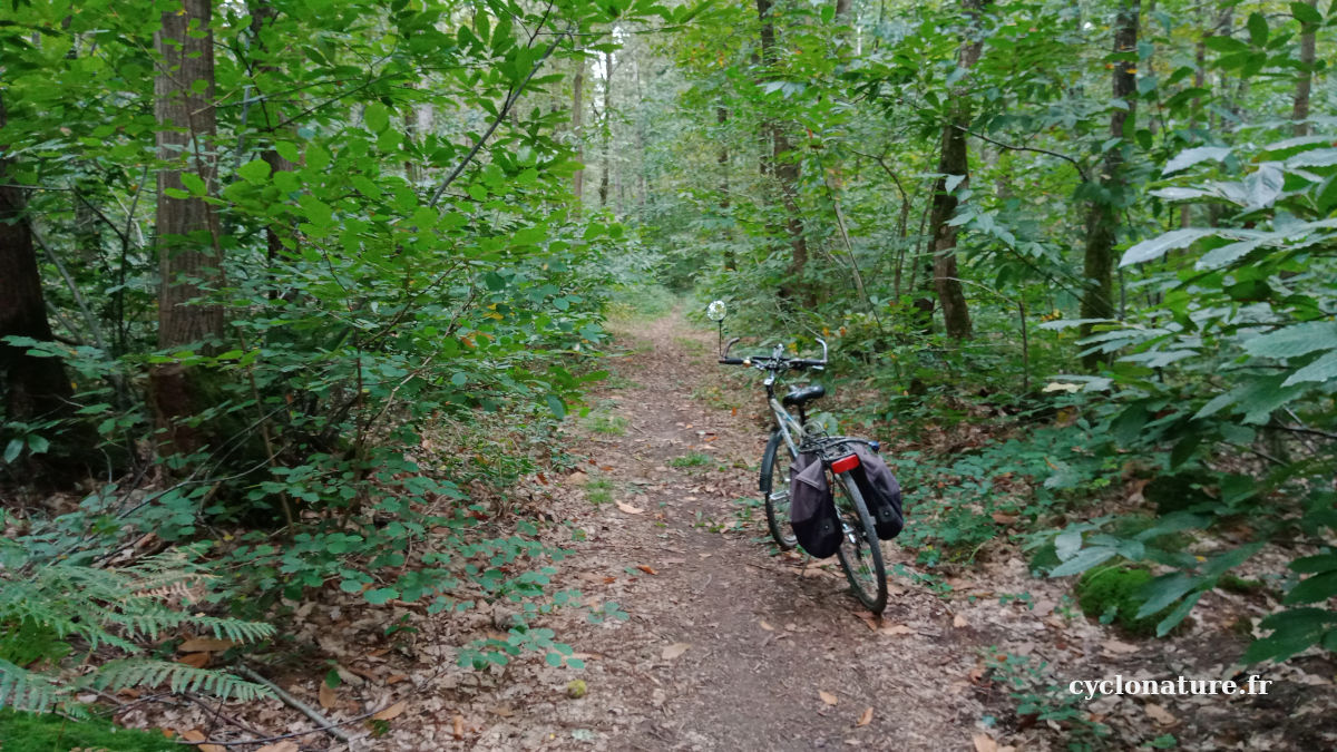 A vélo en pleine nature c'est que du bonheur