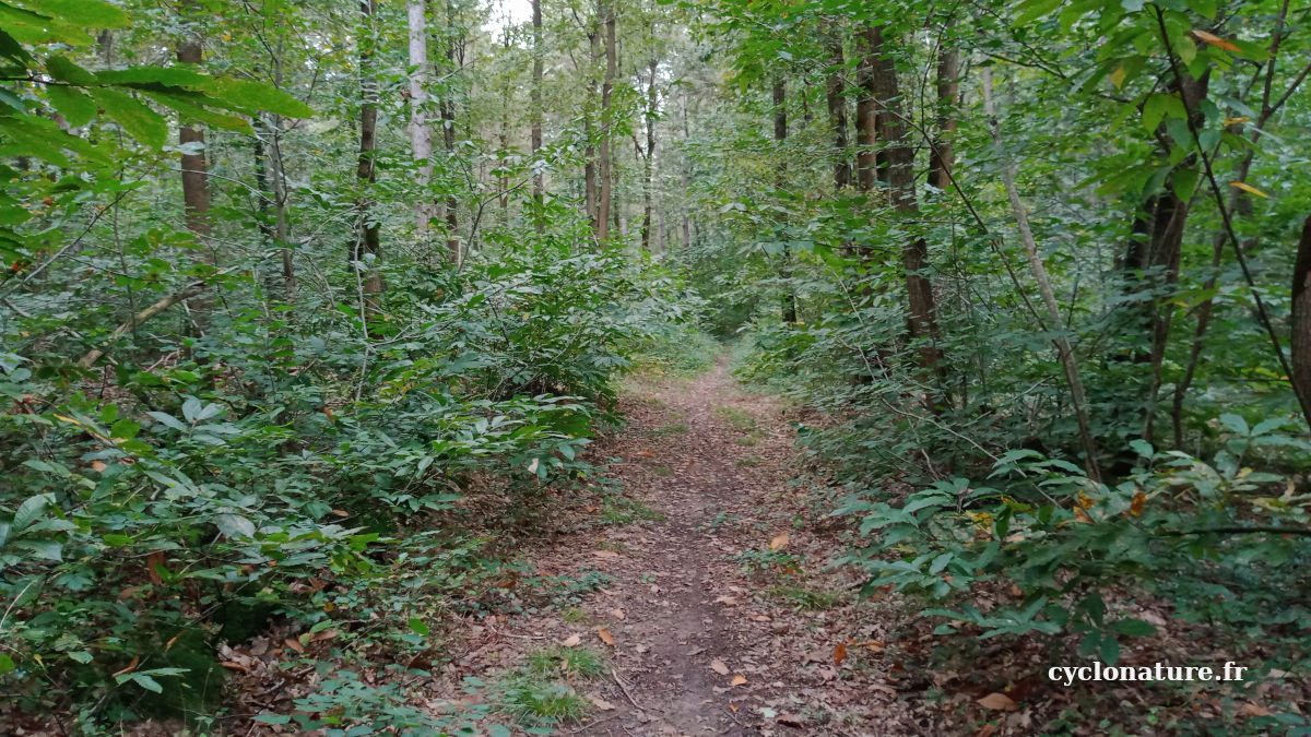 A vélo en pleine nature c'est que du bonheur