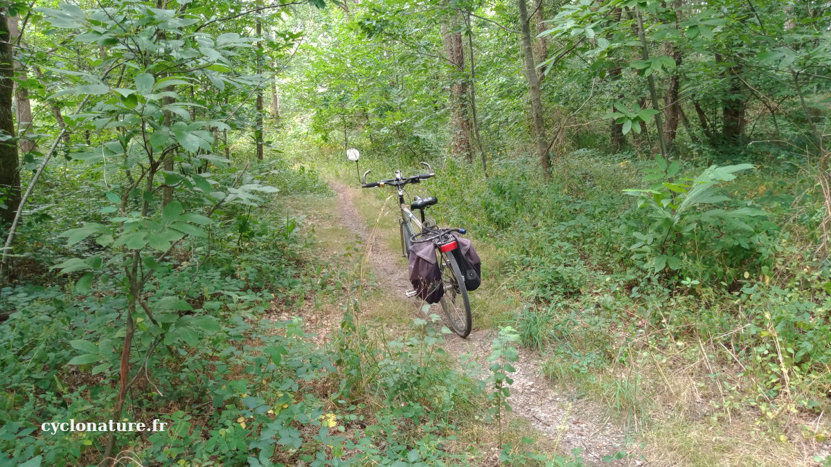 A vélo en pleine nature quand il fait trop chaud