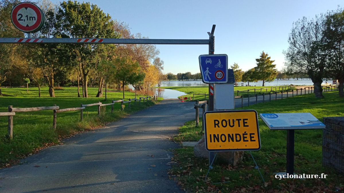 Crue d'automne de la Sarthe à Ecouflant