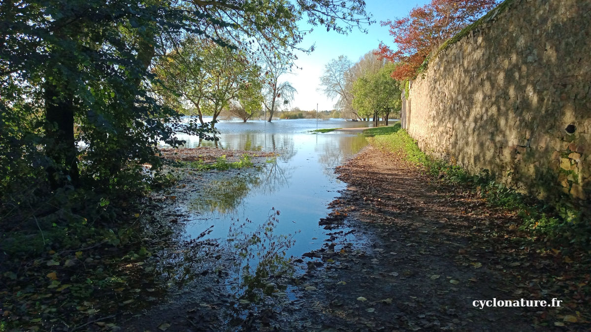 Crue d'automne de la Sarthe à Ecouflant