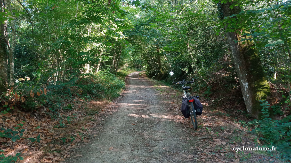 Les plaisirs de faire du vélo en automne