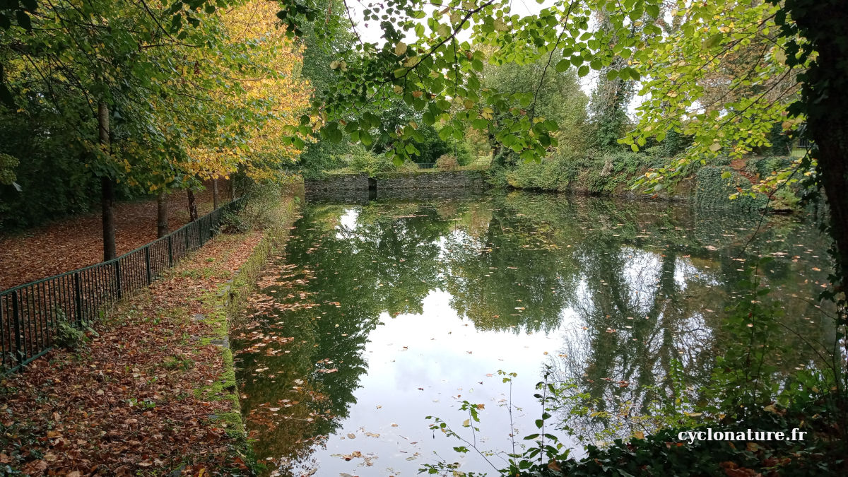 Balade dans le parc de la Jaudette à Saint Barthélemy d'Anjou