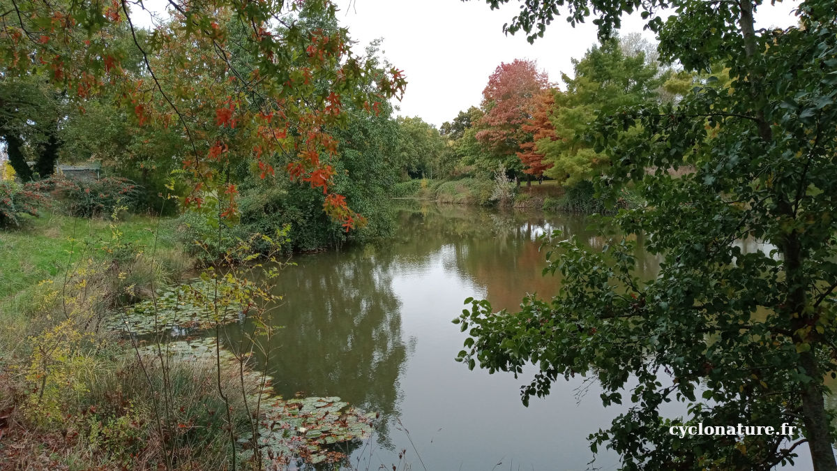 Balade dans le parc de la Jaudette à Saint Barthélemy d'Anjou