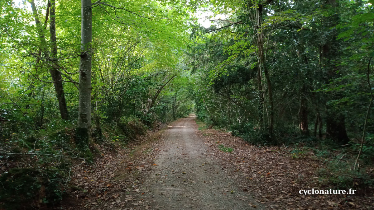 En pleine nature à Beaucouzé