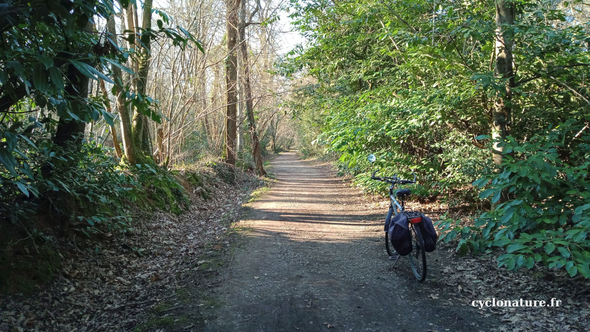 A vélo dans les Landes