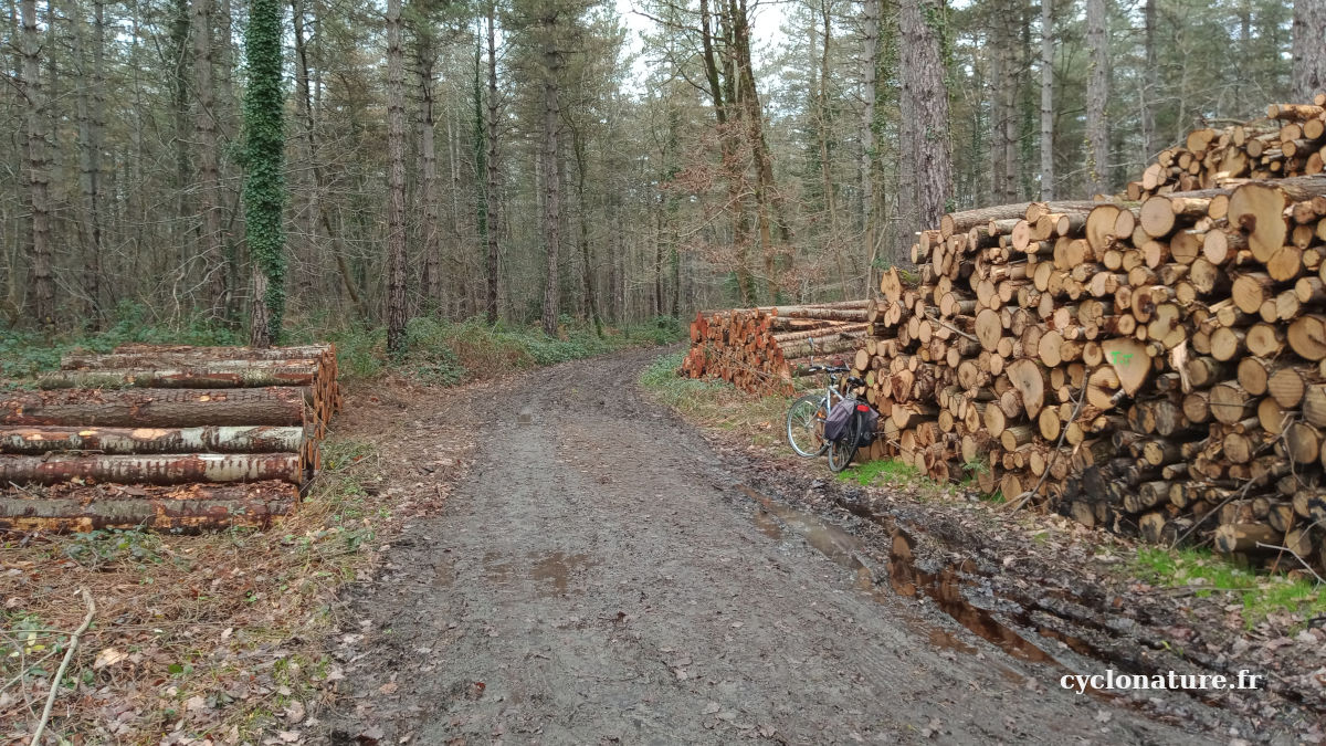 A vélo en campagne et au plus proche de la nature