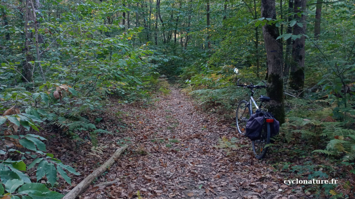 A vélo dans la forêt communale de Saint Barthélemy d'Anjou