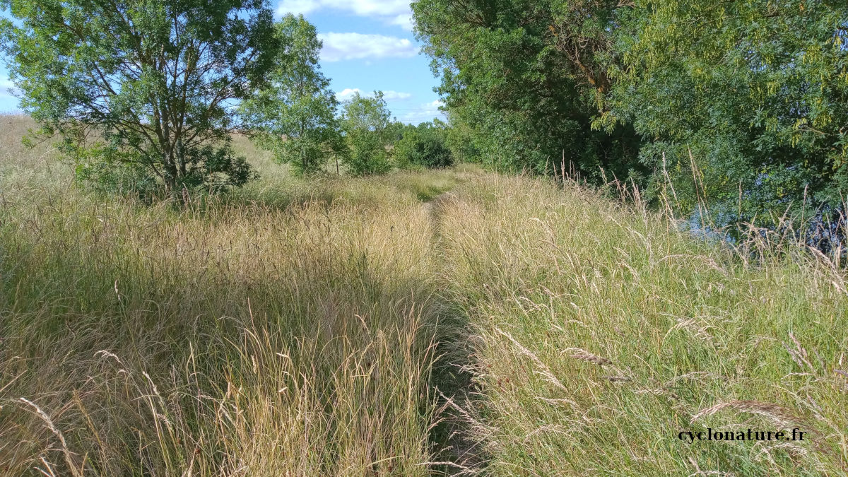 Le bonheur de faire du vélo en pleine nature