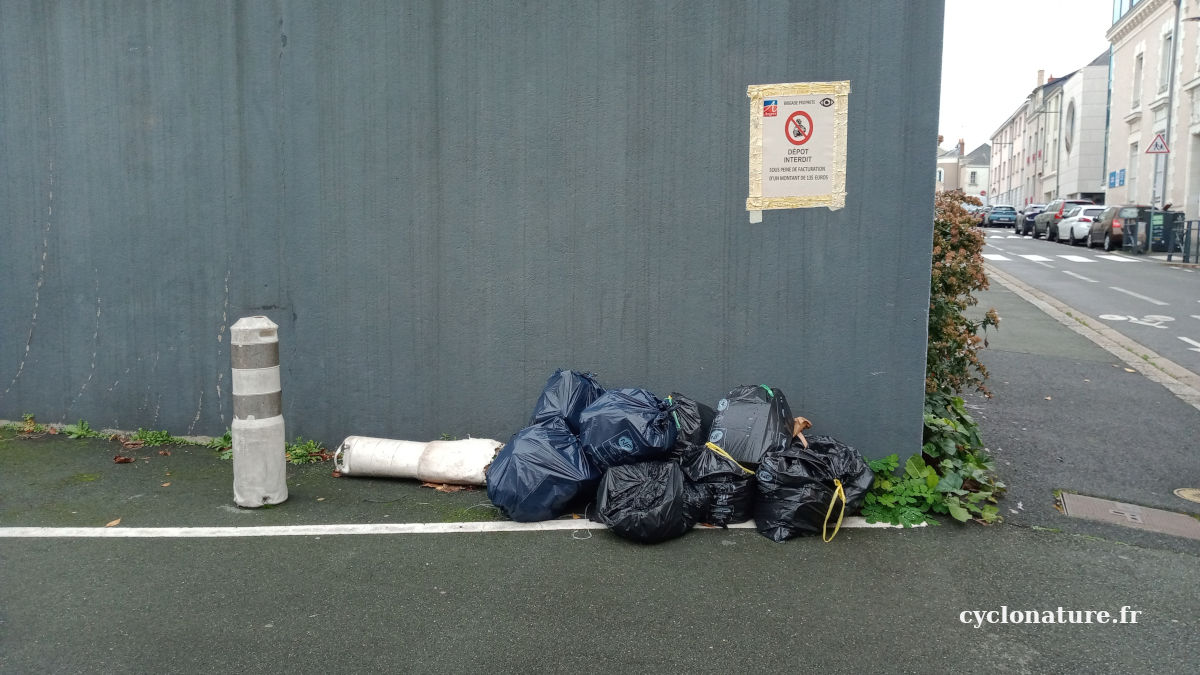 Angers: Quand les poubelles décorent nos rues