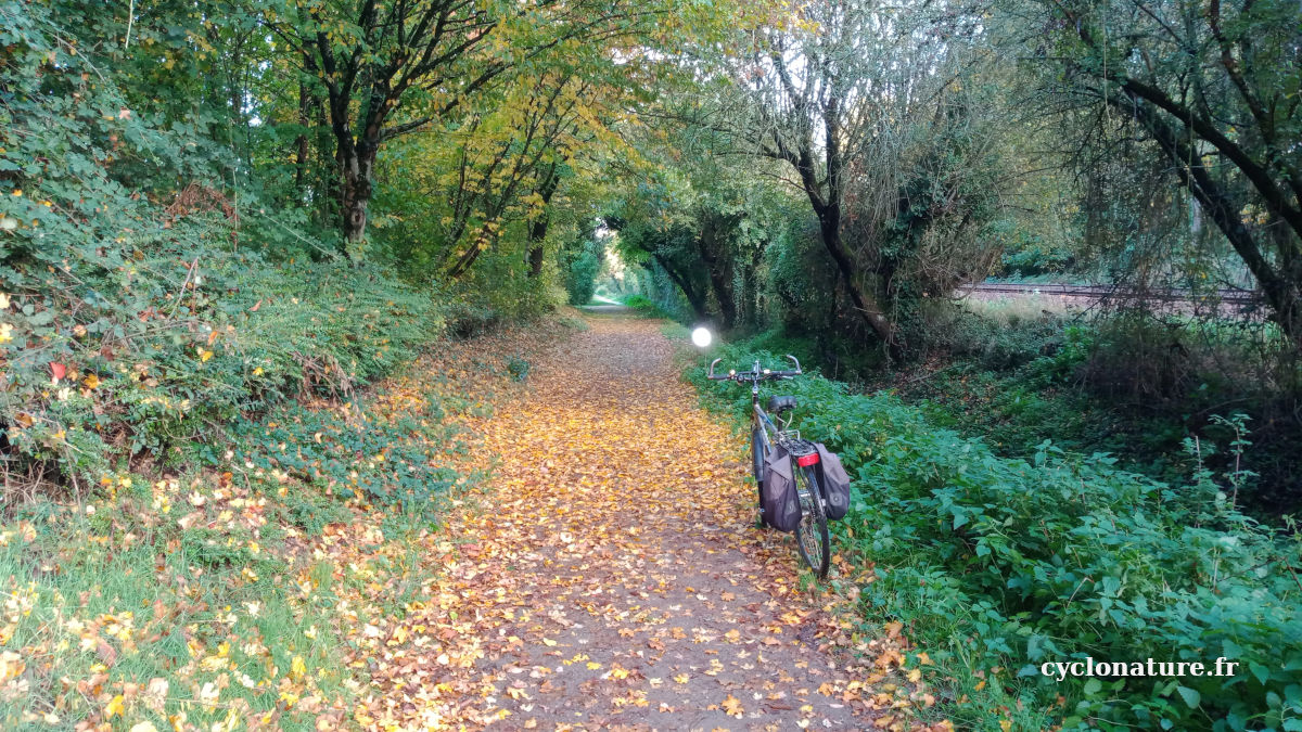 Couleurs d'automne à Saint Barthélemy d'Anjou