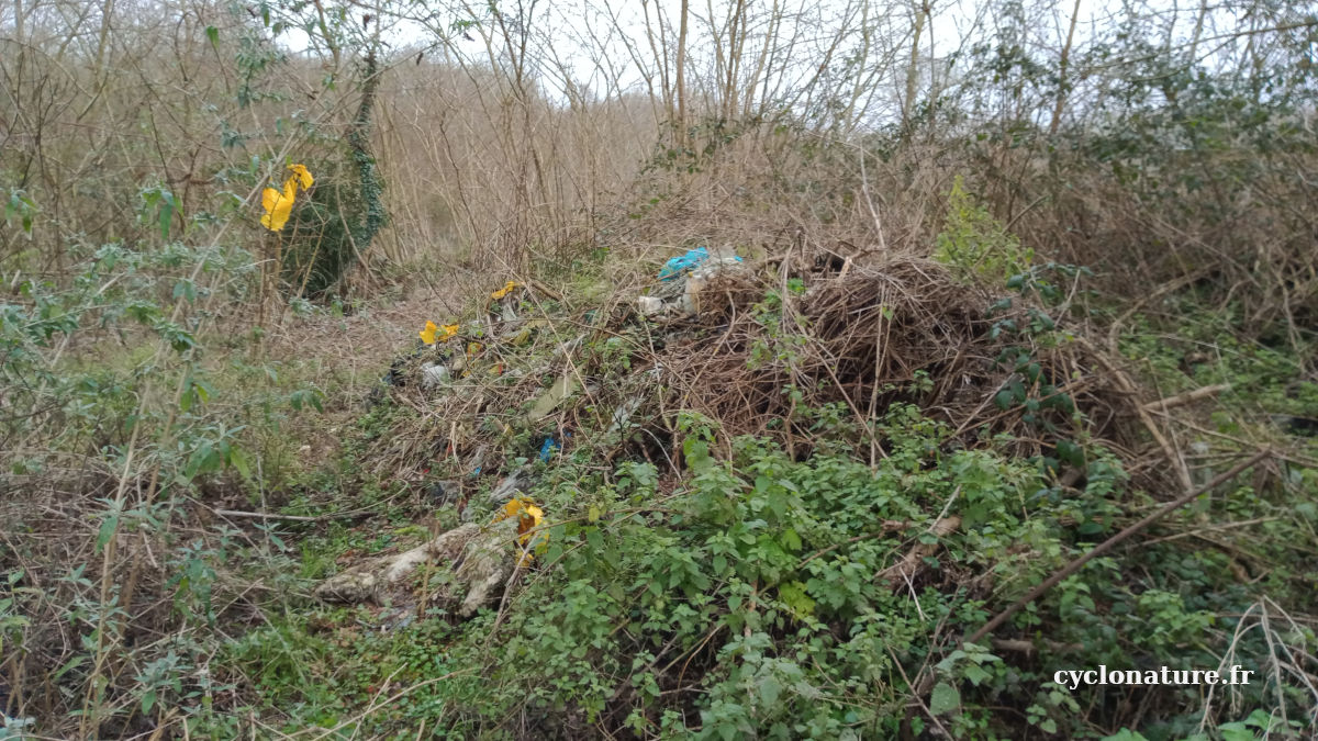 Les Ponts de Cé: 2 ans que ce dépôt sauvage est là