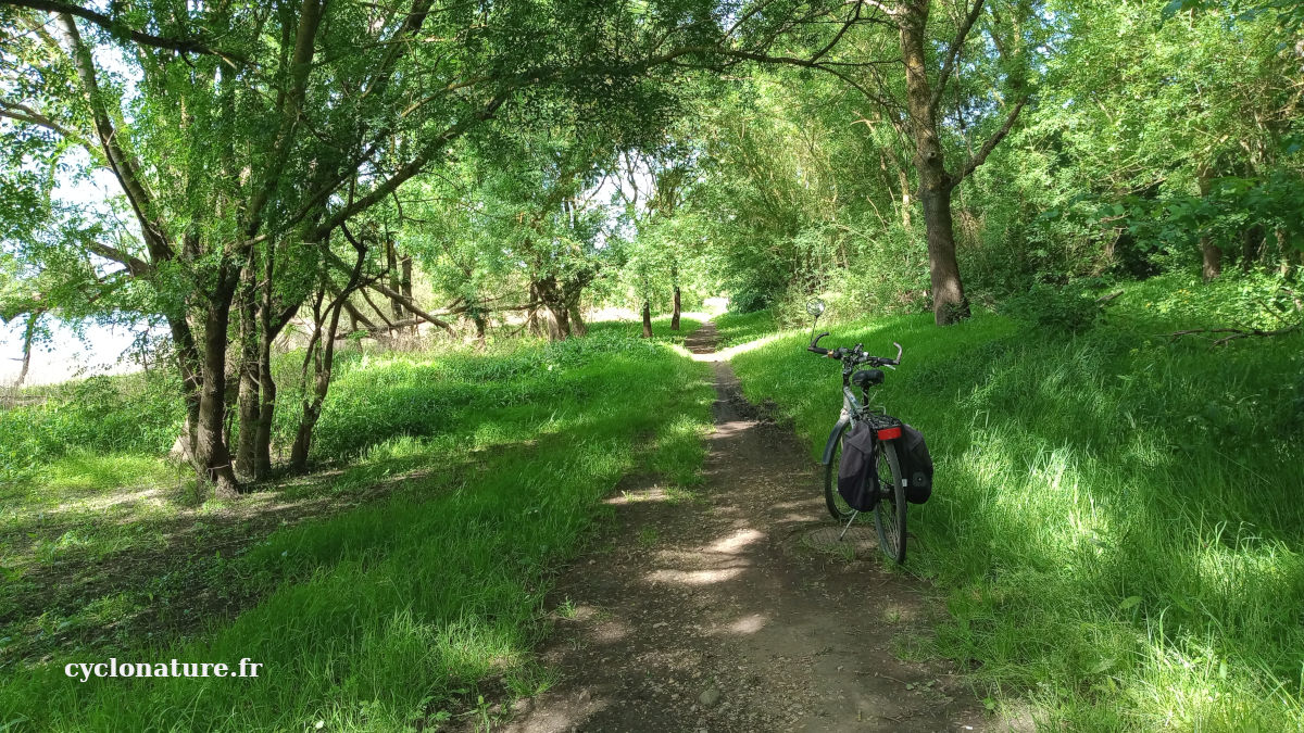 Angers - Ecouflant à vélo