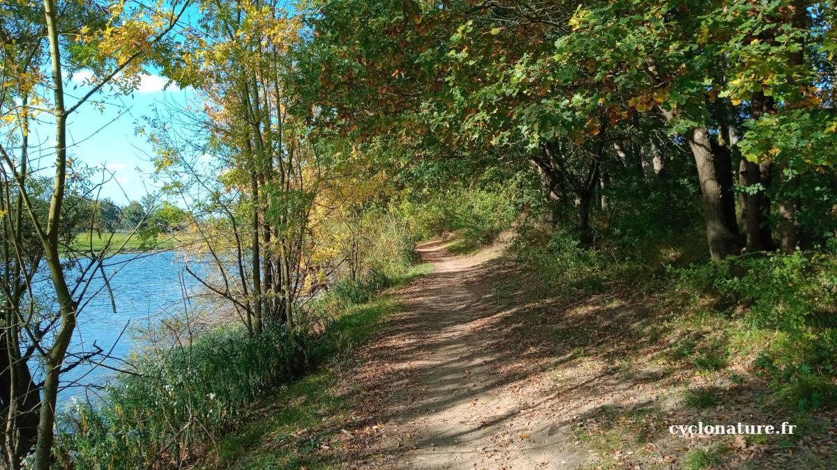 A vélo en pleine nature à Ecouflant