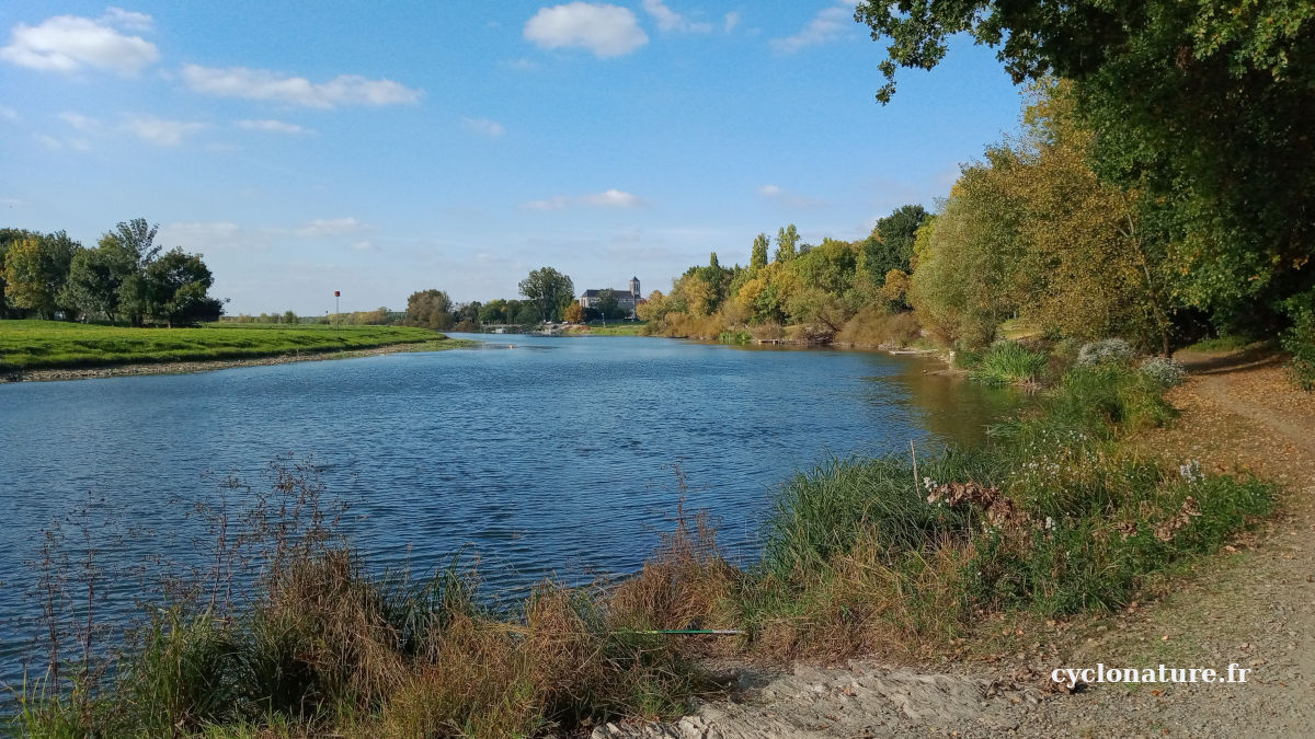 La Sarthe à Ecouflant