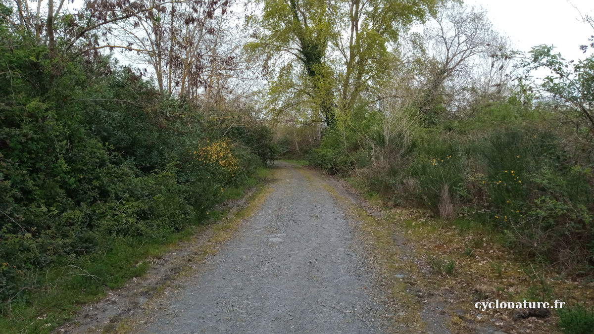 Balade à vélo au puits Napoleon à Trélazé