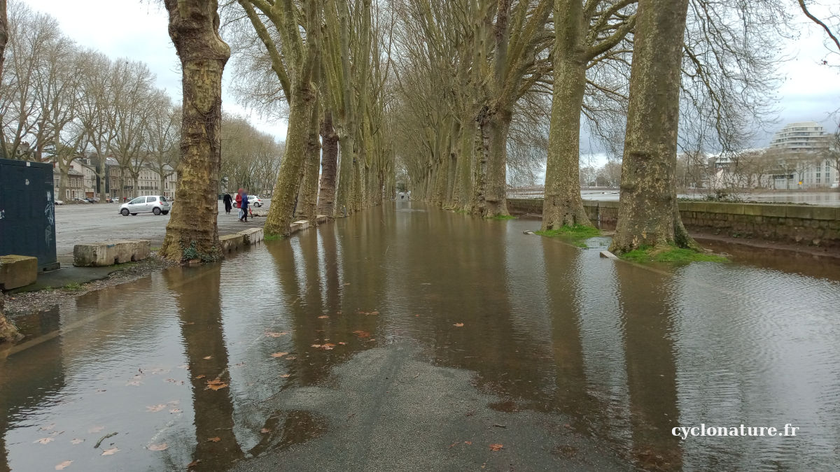 L'allée entre le quai Monge et la place de la Rochefoucault à Angers