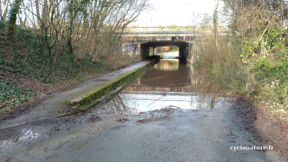 Le tunnel sous la D323 rue des Basses Fouassières