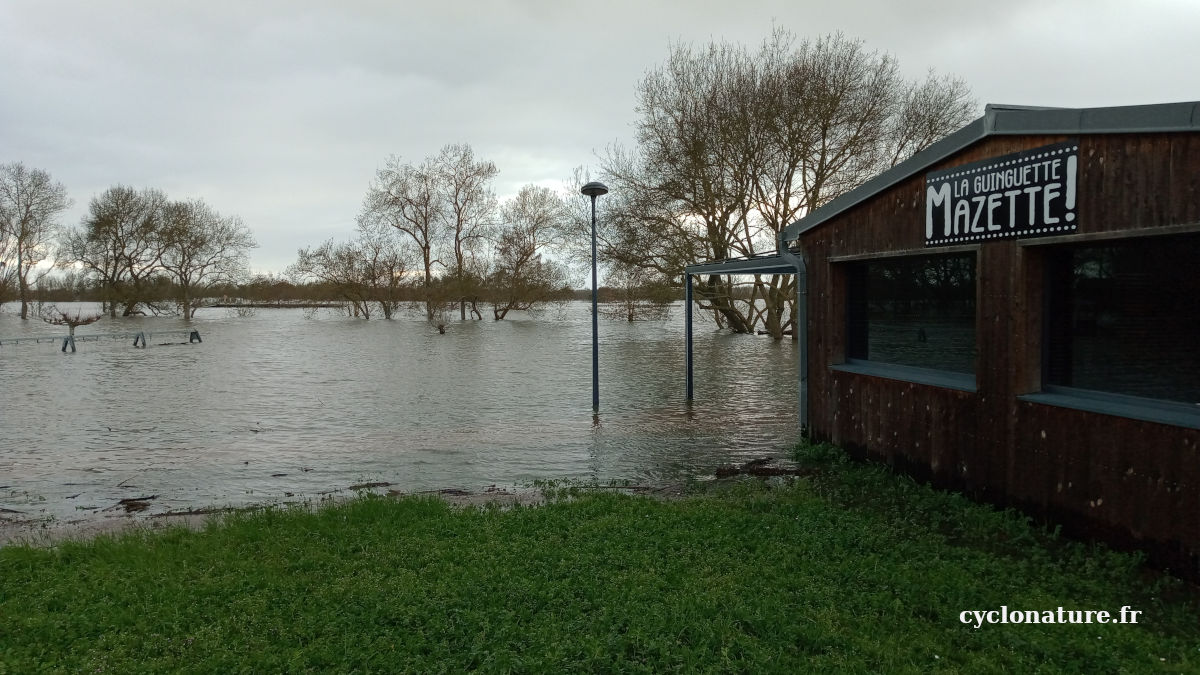 La Sarthe aux pieds de la guinguette d'Ecouflant