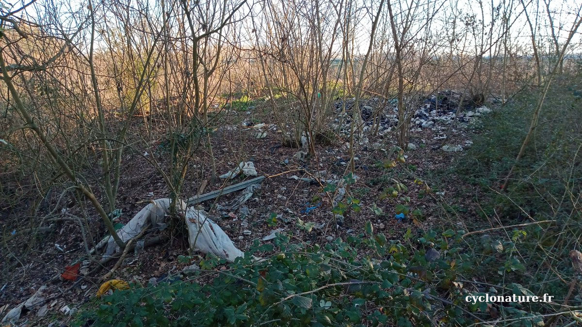 Ma première photo des déchets