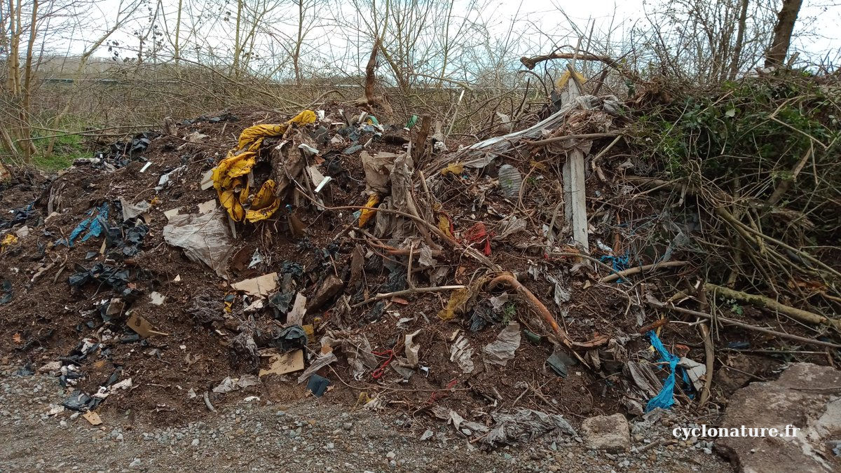 Gros plan sur les premiers jours du monticule