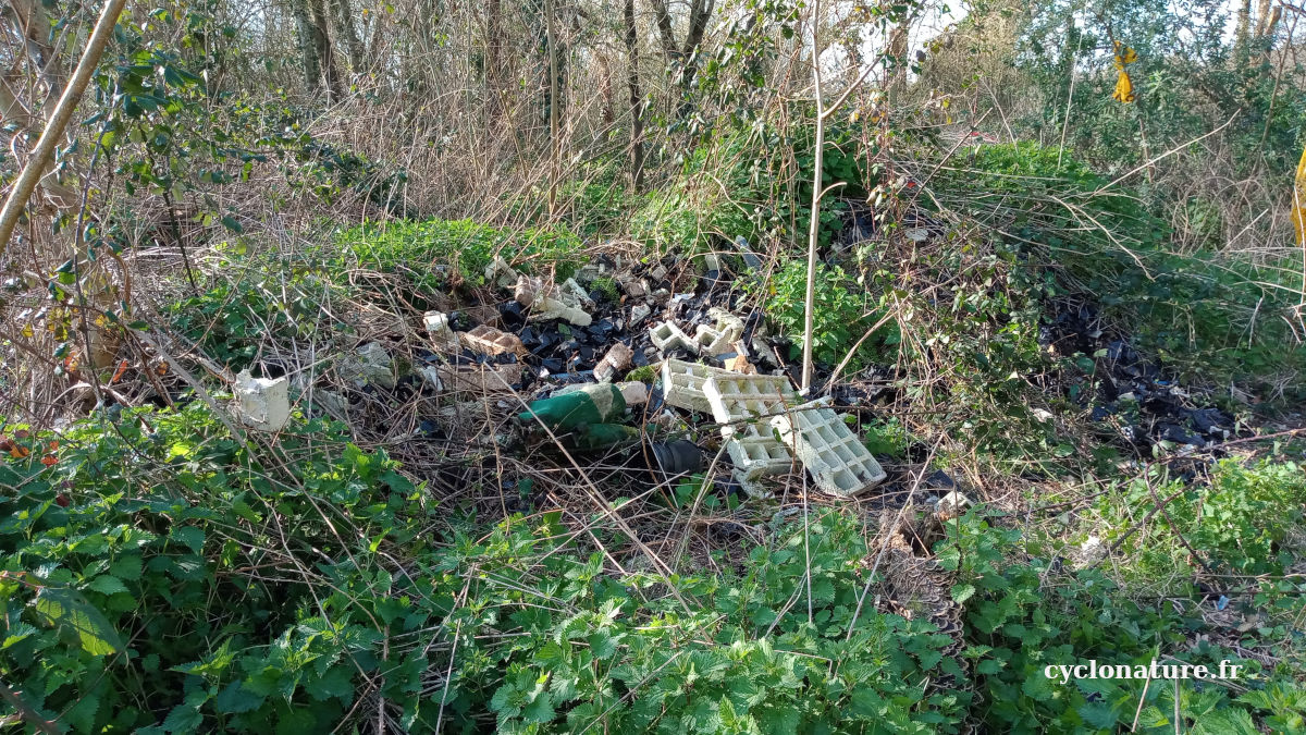 Le monticule recouvert de végétation existe toujours 3 ans après sa création