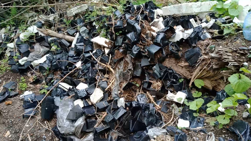 Dépôt sauvage aux Ponts de Cé