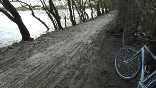 Balade à vélo un peu collante à Bouchemaine