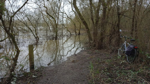 En pleine nature au bord de la rivière en crue