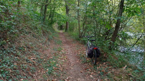 Balade dans la forêt des Sablières à Ecouflant