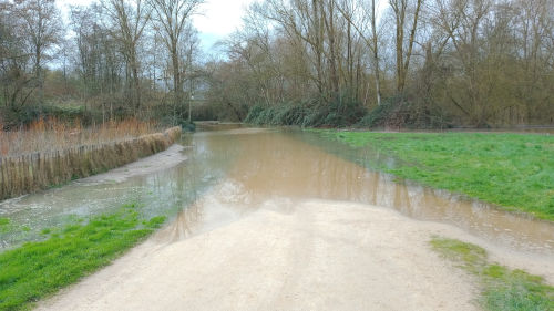 Spéciale crue secteur lac de Maine à Angers