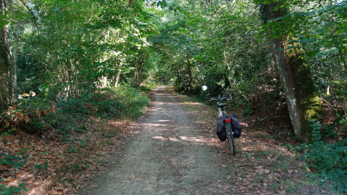 Le bonheur du vélo en automne