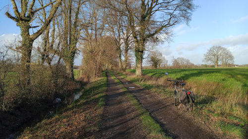 Sur le chemin du bois d'Olivet à Saint Barthélemy d'Anjou